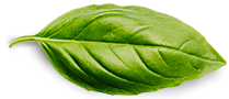 frutería online en Zalla