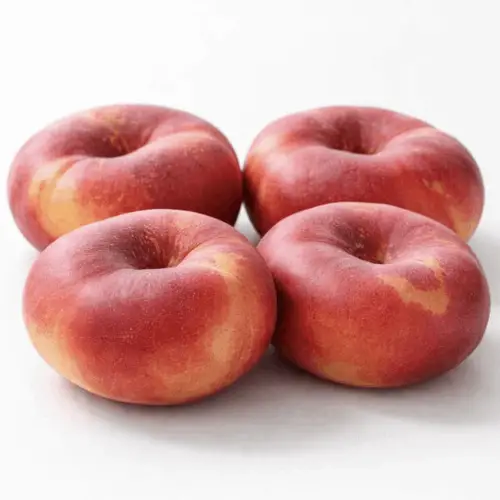 platerina (4 uds) platerina (4 uds)