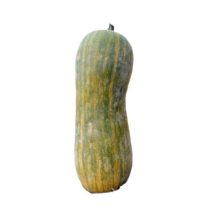 calabaza pequeña