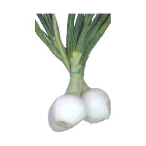 Cebolletas