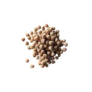 Garbanzos pedrosillano de León