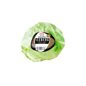 Lechuga iceberg