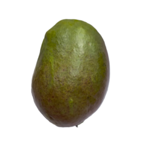 Mango barco