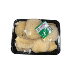 Setas bandeja